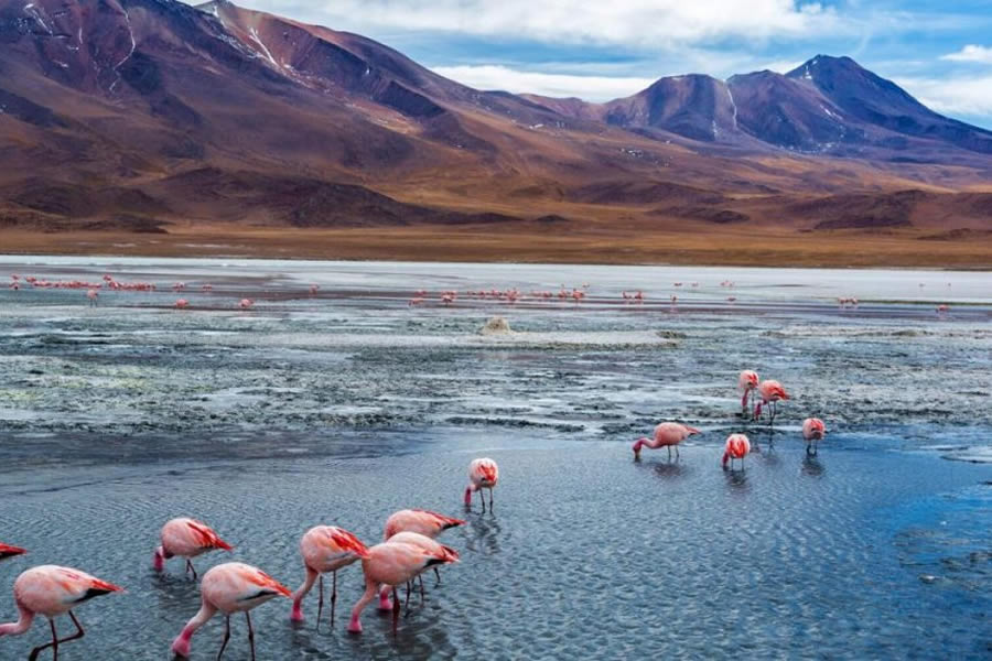 Salar Atacama