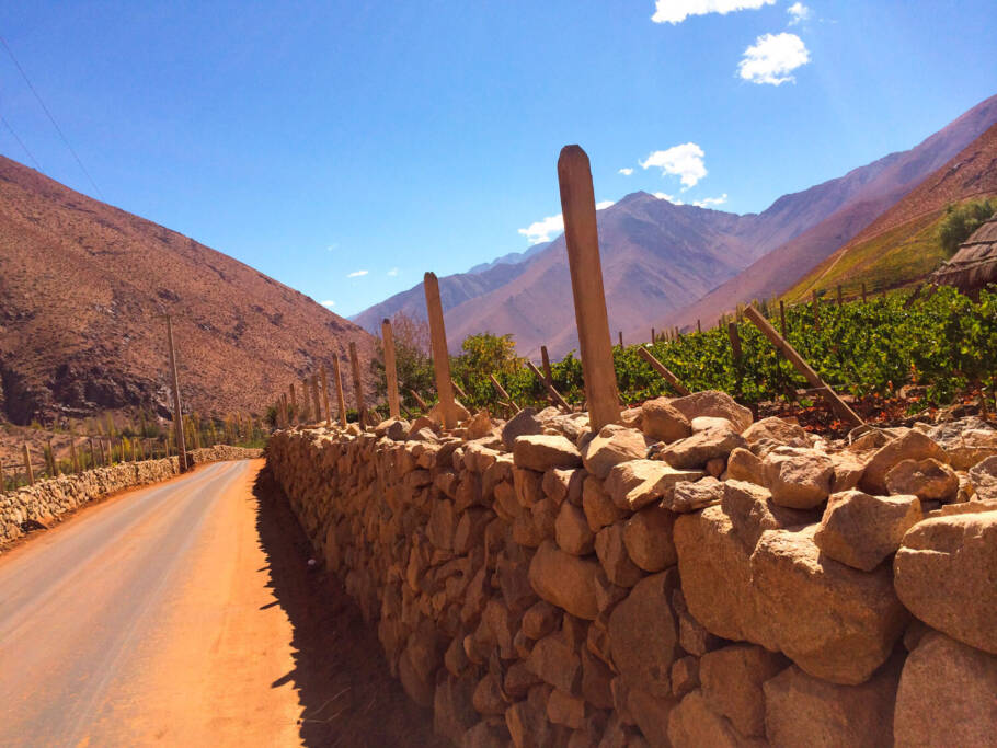 Destilaria no Elqui