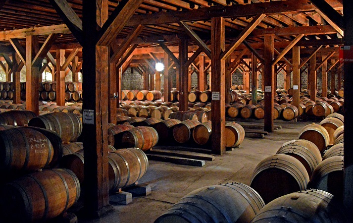 Vinho 120 Patriotas